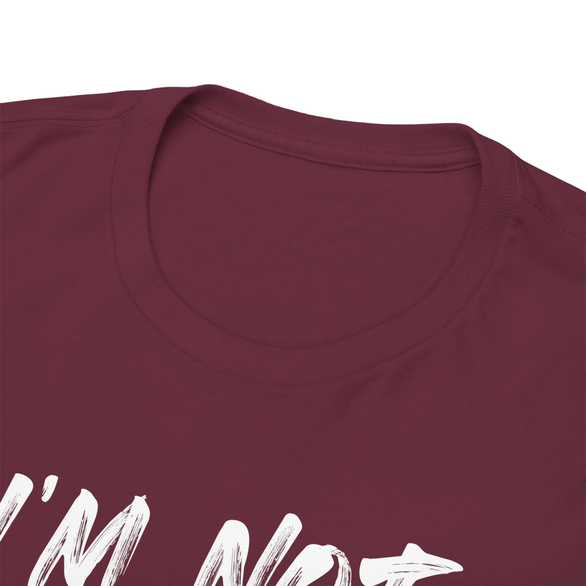 I am Not Ashamed Christian T-Shirt