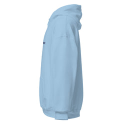 Image of Born Twice Embroidered Hoodie