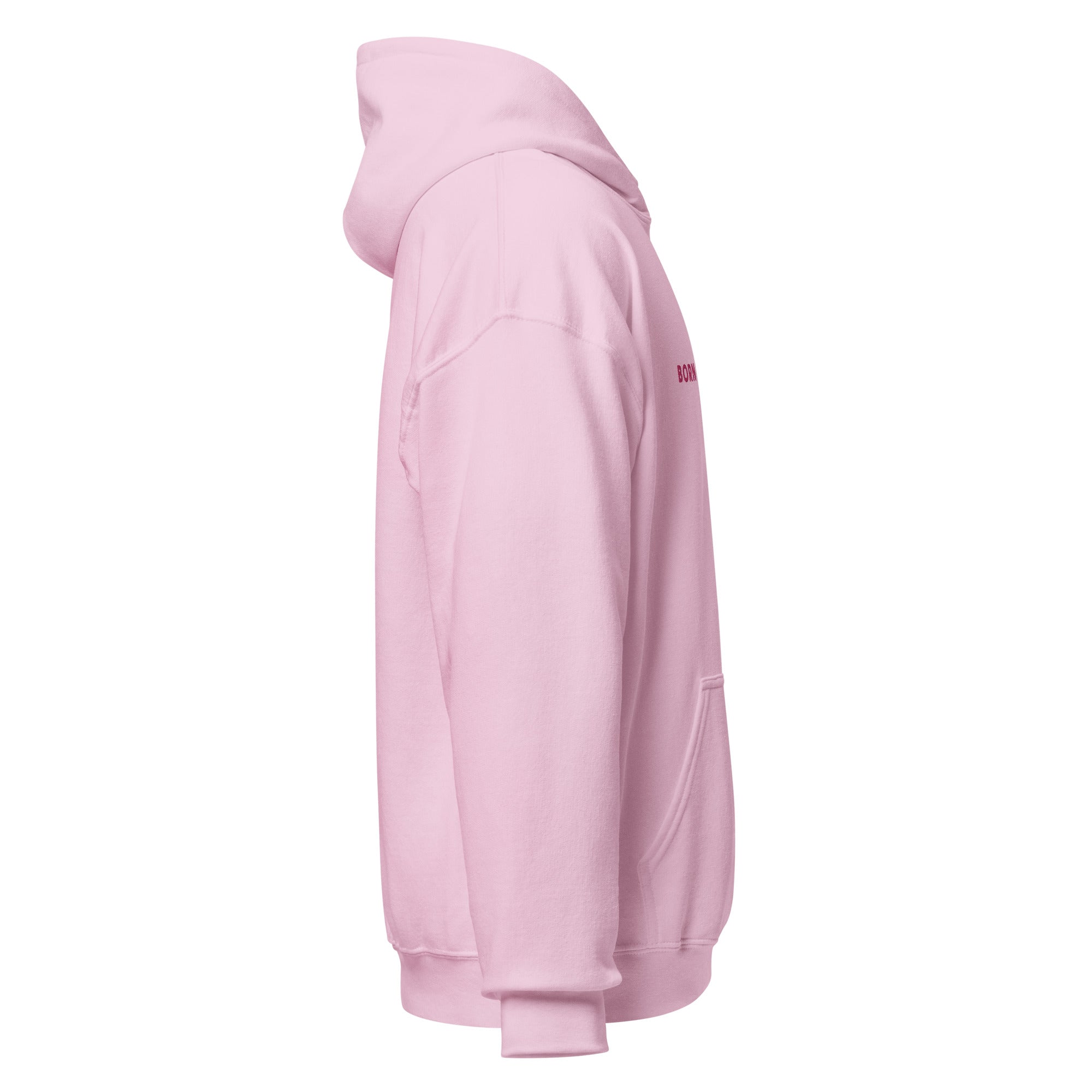 Born Twice Embroidered Hoodie