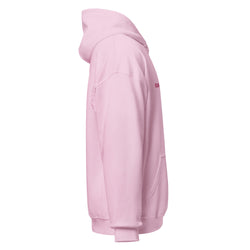 Image of Born Twice Embroidered Hoodie